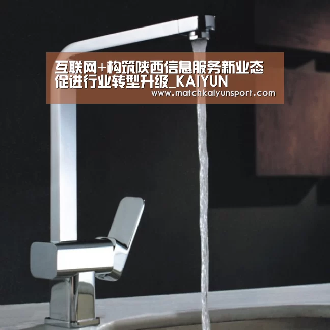 互联网+构筑陕西信息服务新业态促进行业转型升级_KAIYUN(图2) 开云官网