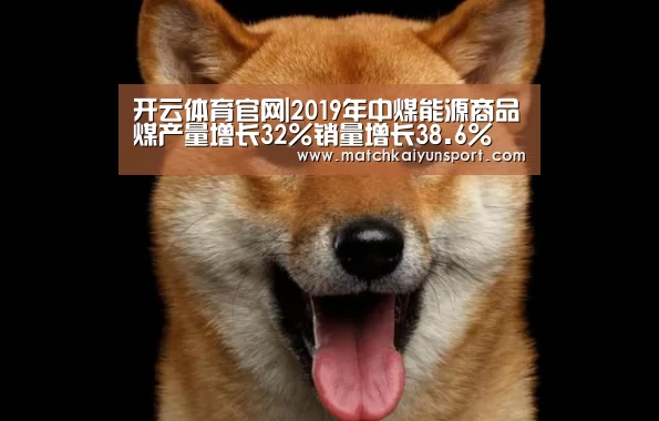 开云官网导航