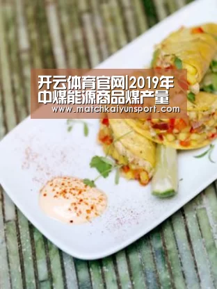 开云体育官网|2019年中煤能源商品煤产量增长32%销量增长38.6%(图3)