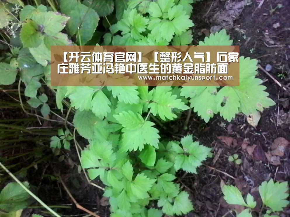 【开云体育官网】【整形人气】石家庄雅芳亚冯艳中医生的黄金脂肪面雕技术(图4)